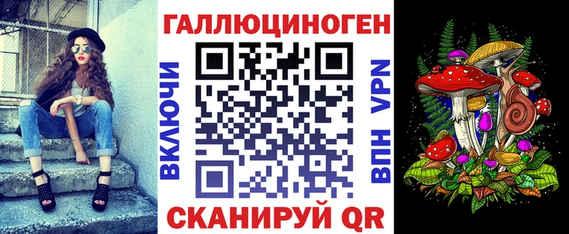kraken сайт  Подпорожье  Псилоцибиновые грибы Psilocybe 